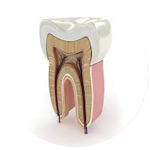 Endodontia Centro Odontológico Higienópolis